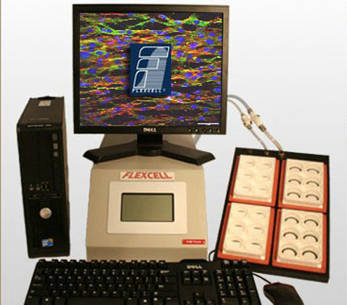 三維機械力刺激立體水凝膠支架培養(yǎng)系統(tǒng)