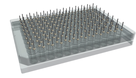 PerFuseIt 點(diǎn)滴和啜飲