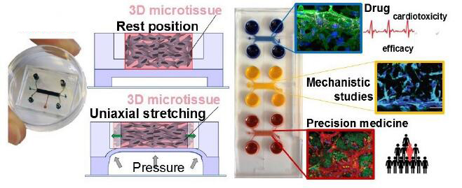 1672370795126053477.jpg QQ截圖20221230112842.jpg