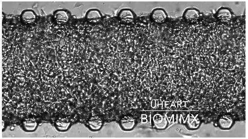 1672372407831007802.jpg QQ截圖20221230115721.jpg