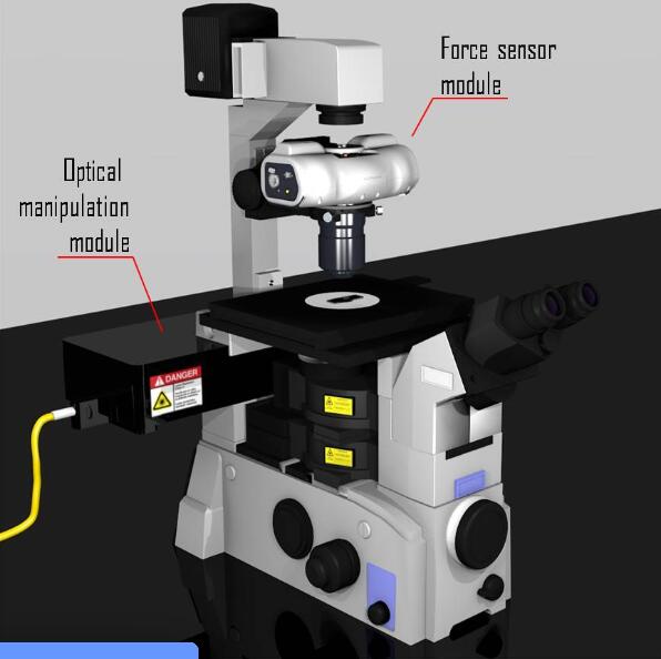 活細(xì)胞和組織細(xì)胞力學(xué)光鑷系統(tǒng)，專為細(xì)胞內(nèi)微流變學(xué)、細(xì)胞核機(jī)械轉(zhuǎn)導(dǎo)、細(xì)胞膜機(jī)械感受器力、運(yùn)動蛋白活性或細(xì)胞細(xì)胞相互作用等應(yīng)用而設(shè)計(jì)