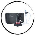 ��(x��)������ DYNAMIC